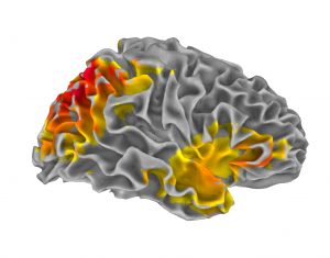 Phase synchrony of neural population activity between visual cortex and right hemisphere cortex in parietal and fronto-temporal areas