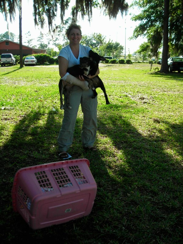 Bonnie Kisko on Dog Transport Saturday, Gainesville