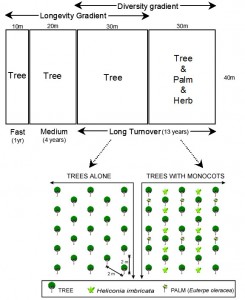 Plot Design