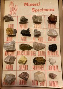 My first rock specimens