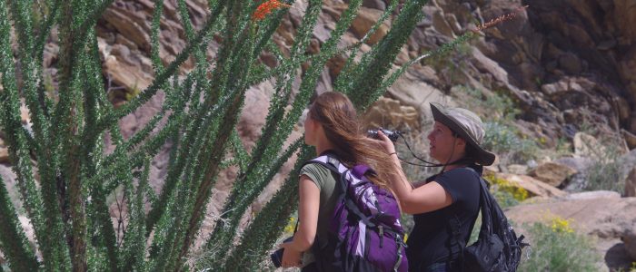 Desert Biodiversity