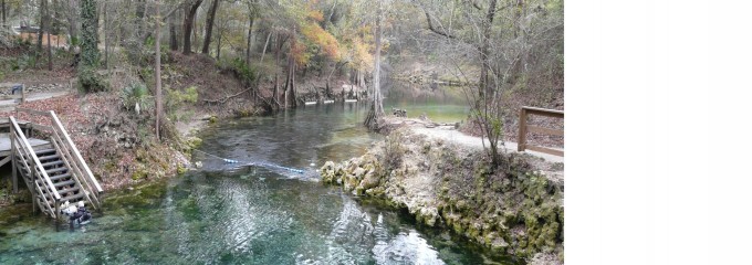 Madison Blue spring