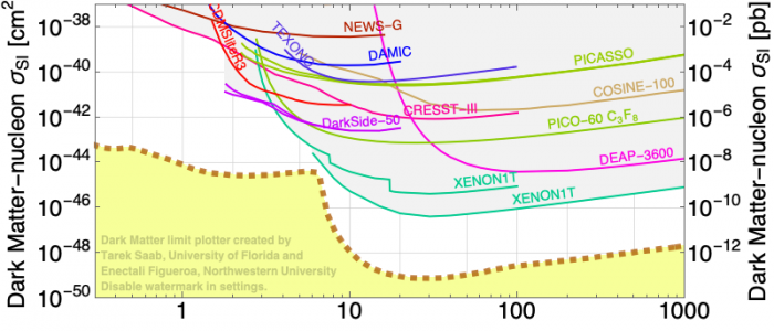Dark Matter Limits